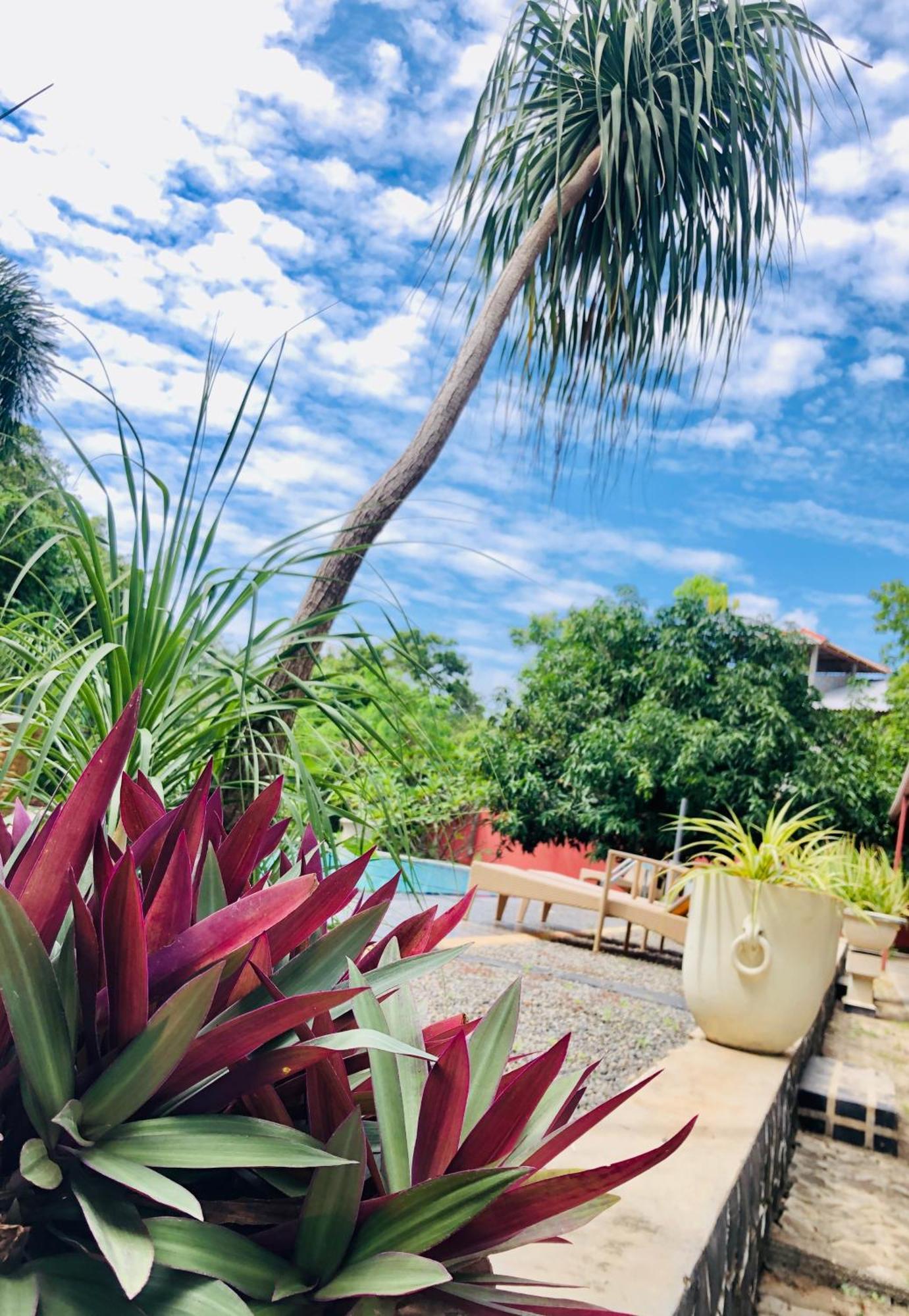 Saman Resort Yala Tissamaharama Exterior photo
