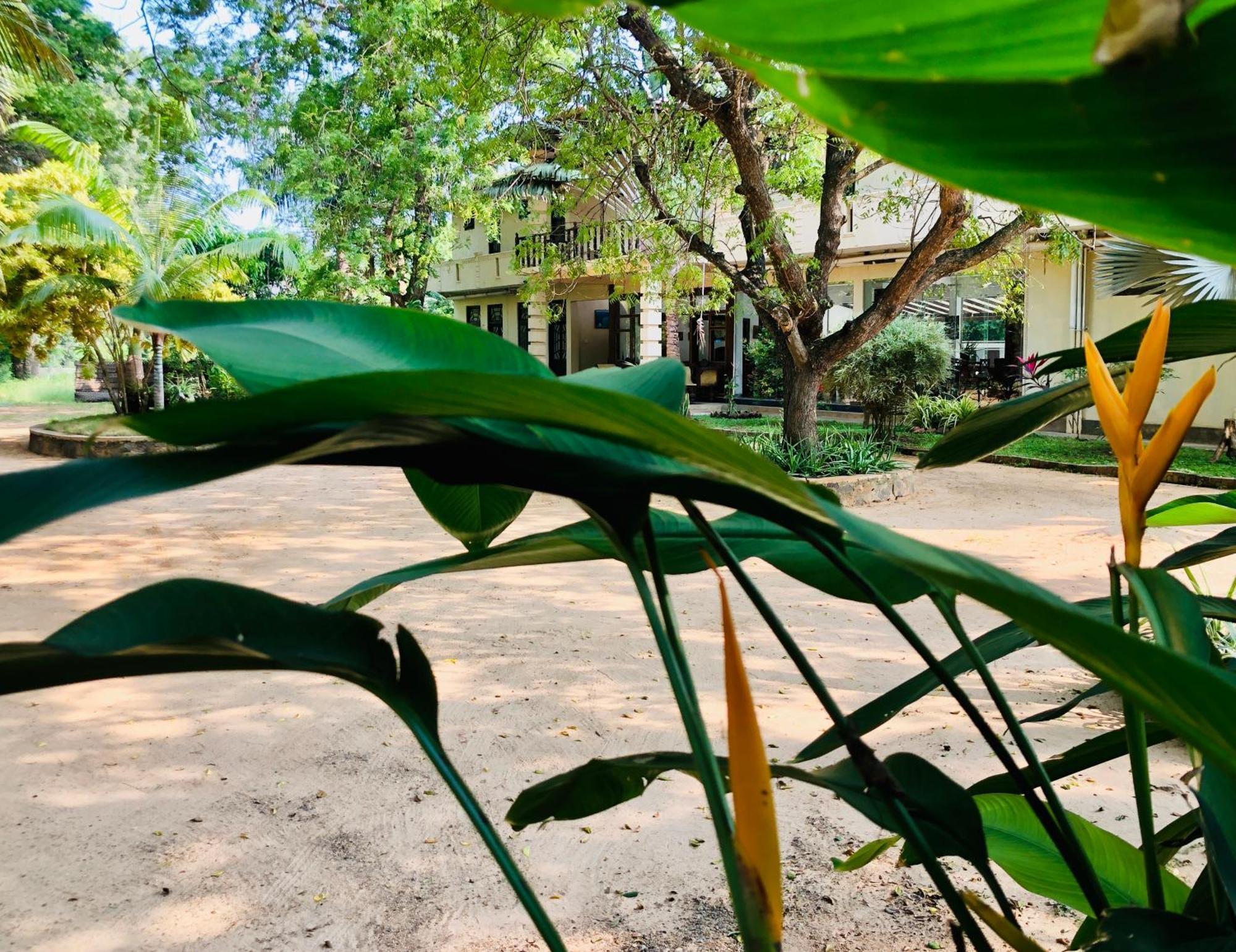 Saman Resort Yala Tissamaharama Exterior photo